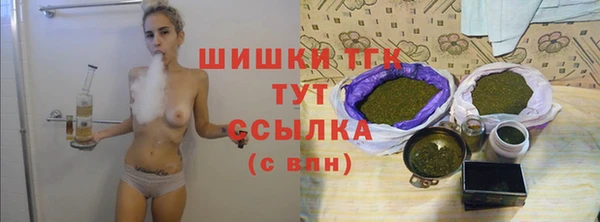 spice Арсеньев