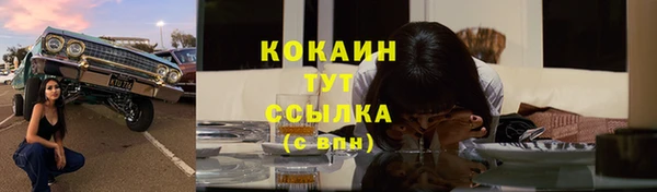 ешки Аркадак