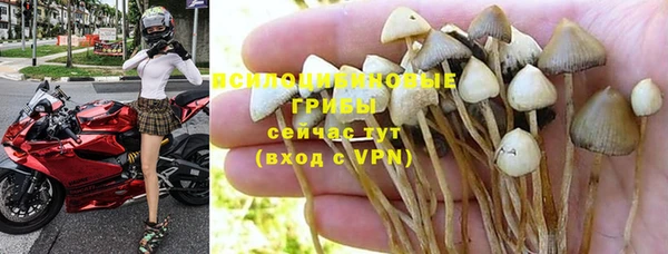 ешки Аркадак