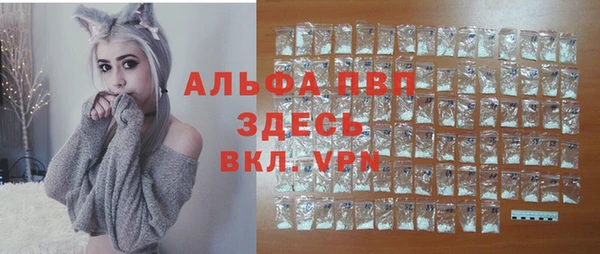 ешки Аркадак
